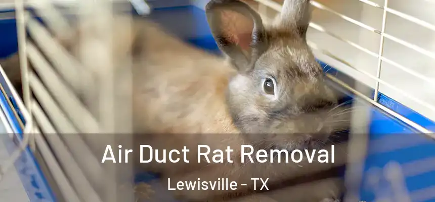 Air Duct Rat Removal Lewisville - TX