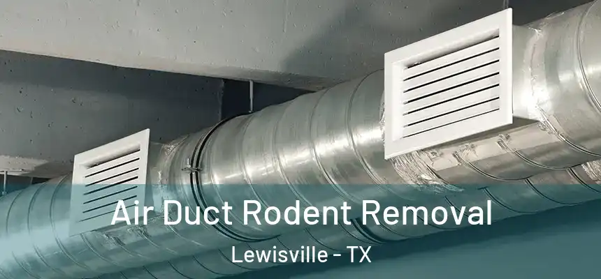 Air Duct Rodent Removal Lewisville - TX