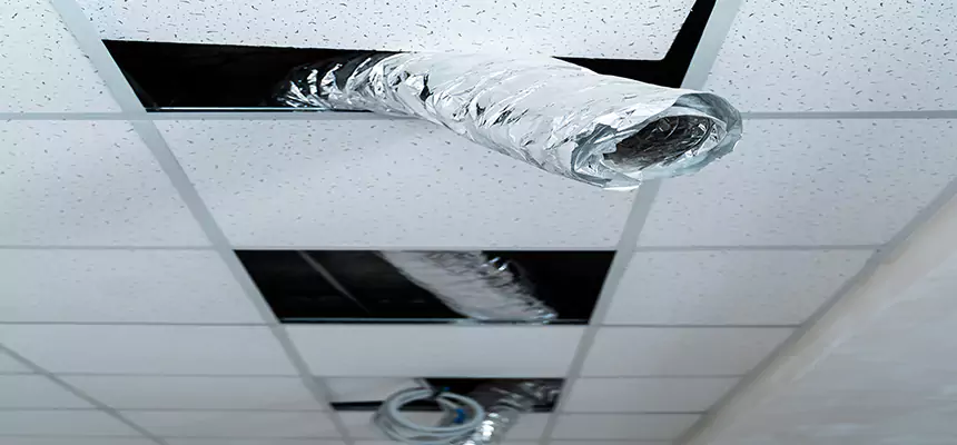 Affordable HVAC Sanitizing After Pest Removal in Lewisville