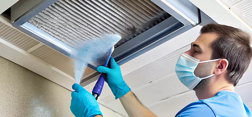 Proactive Dryer Vent & Auxiliary Duct Pollen Cleanup in Lewisville, TX