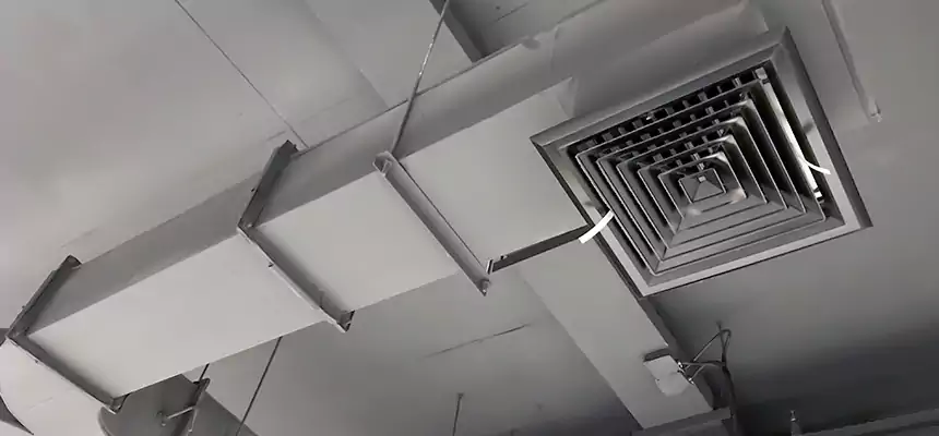 Restorative Allergy Relief Vent Cleaning – Coil, Blower & Housing Detail in Lewisville