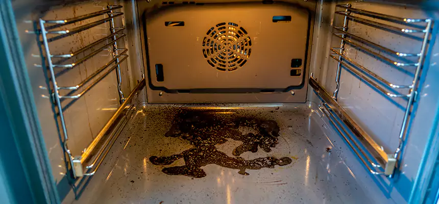 Our Dryer Vent Mold Cleaning Services in Lewisville, TX