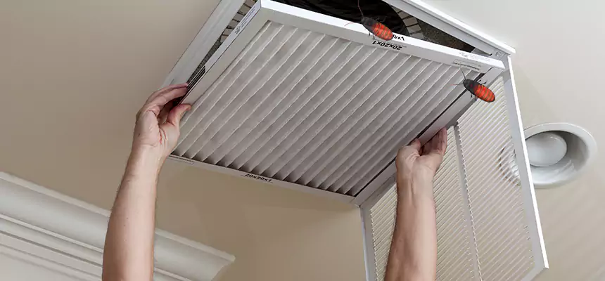 Our Insect Removal from Air Ducts Services in Lewisville, TX