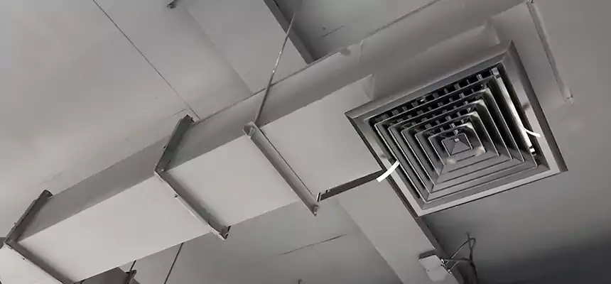 Our Rodent Droppings In Vents Services in Lewisville, TX