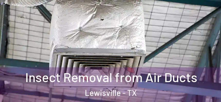 Insect Removal from Air Ducts Lewisville - TX