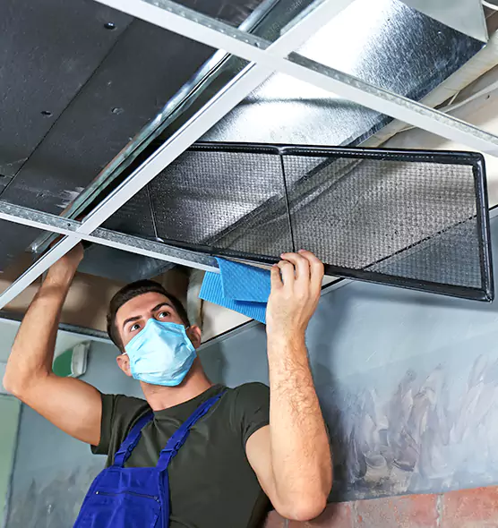 About Air Duct Bacteria Removal in Lewisville