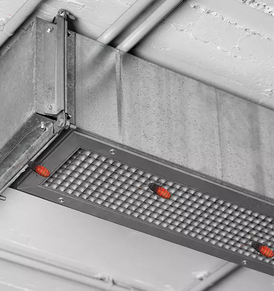 About Air Duct Cockroach Removal in Lewisville, TX