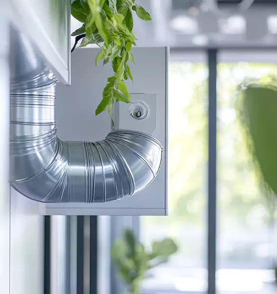 Professional Eco-Safe Dryer Vent Cleaning in Lewisville, TX