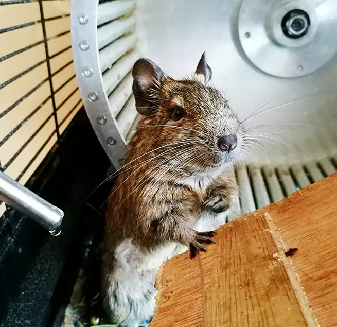 Why Homeowners & Businesses Trust Us Lewisville, TX?