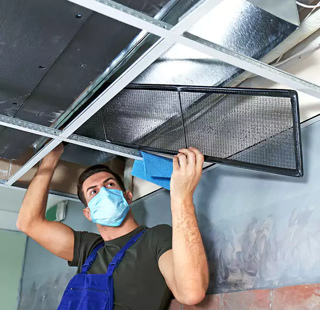 Why Homeowners Businesses Trust Us in Lewisville, TX