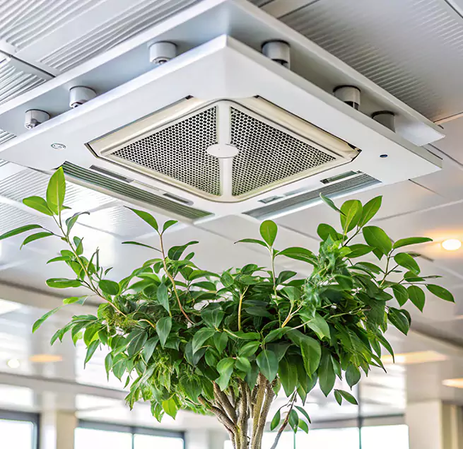 Why Homeowners & Businesses Trust Us in Lewisville, TX?