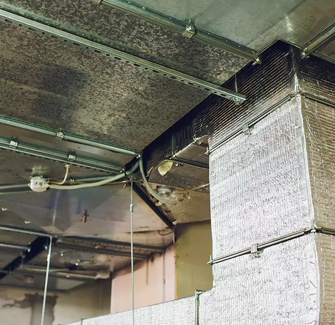 Why Homeowners & Businesses Trust Us in Lewisville, TX?